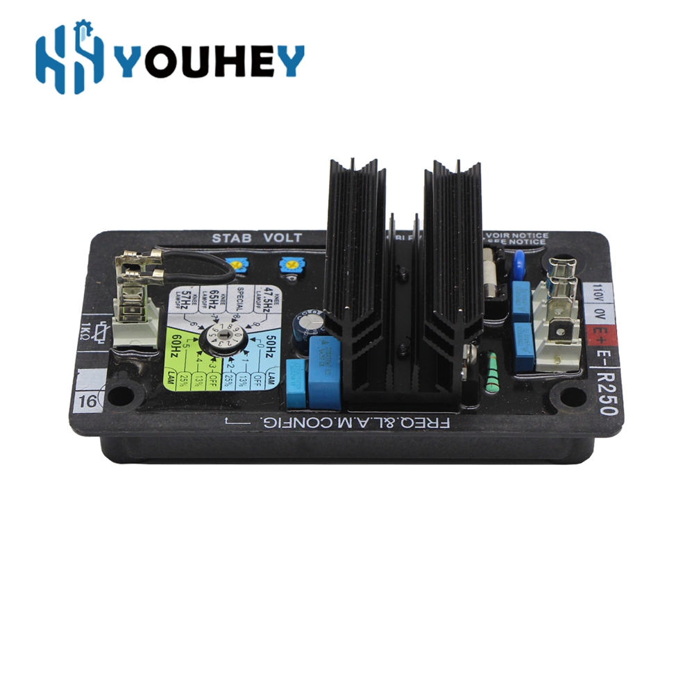 R250 AVR Leroy Somer Regolator - Cycloidal Reducer Bldc Motor recensione e prezzo